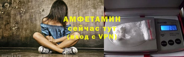 стаф Елизово