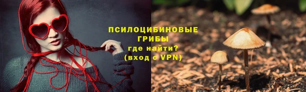гидропоника Новодвинск