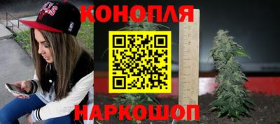 шишки Можга