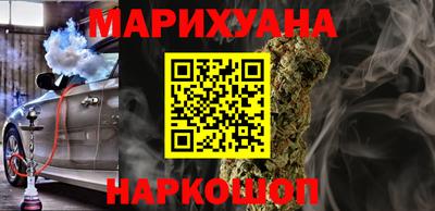 шишки Можга