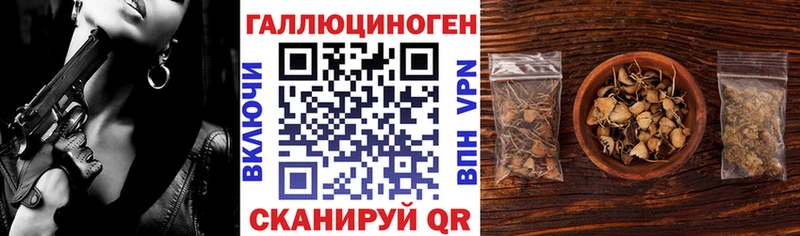 Псилоцибиновые грибы Psilocybine cubensis  Саяногорск 