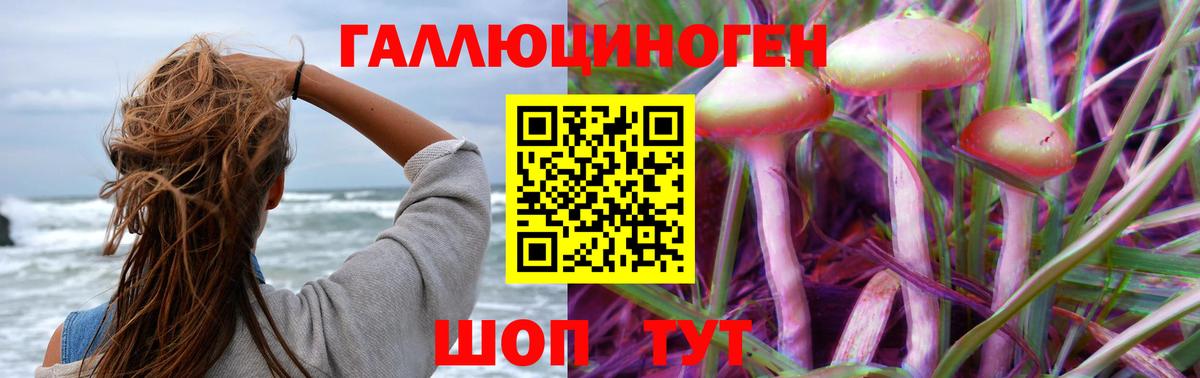 Галлюциногенные грибы Magic Shrooms Саяногорск