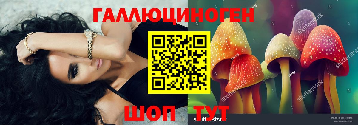 Галлюциногенные грибы GOLDEN TEACHER  Вход с VPN  Саяногорск 