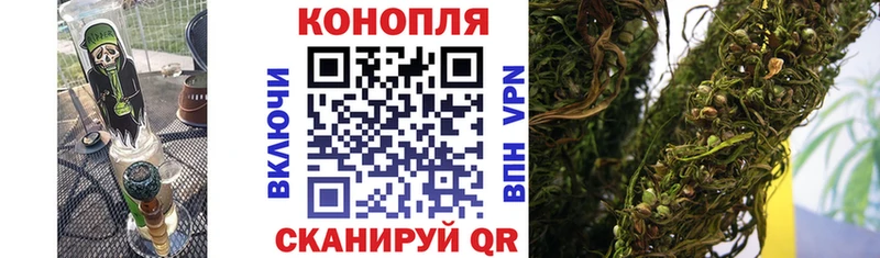 кракен как войти Саяногорск Бошки марихуана THC 21%
